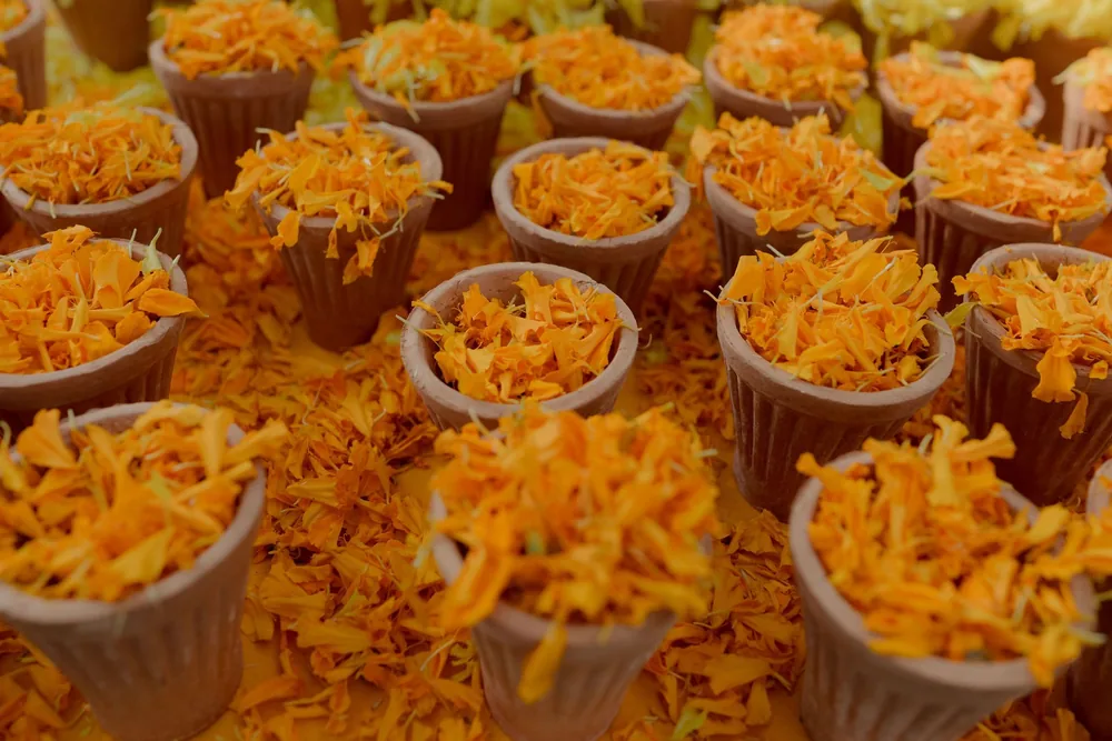 Rows of small clay cups filled with orange marigold petals, set on a bed of loose petals at the haldi at Beleza by the Beach, Goa.