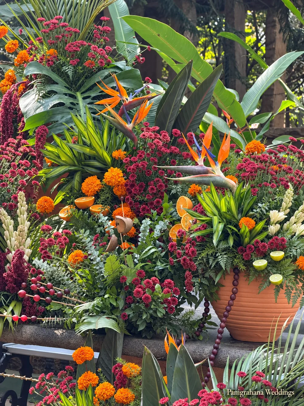 Tropical haldi arrangement of bird of paradise, red heliconia, burgundy celosia, marigolds, monstera and palm leaves in a terracotta pot