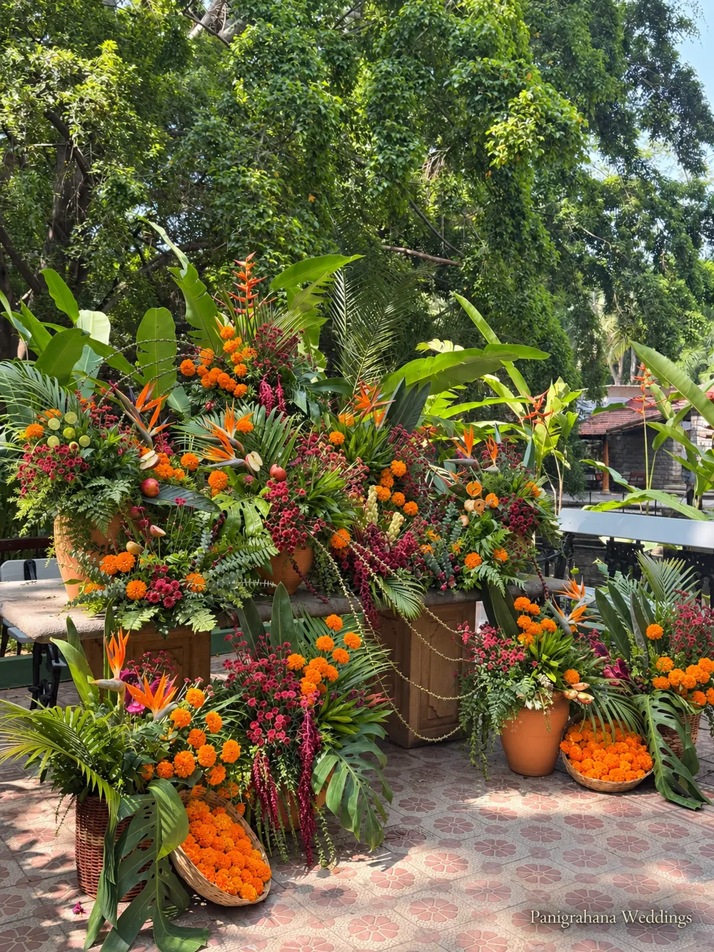 Garden at a haldi with clusters of tropical arrangements in terracotta pots, marigold heaps and palm leaves under a canopy of trees