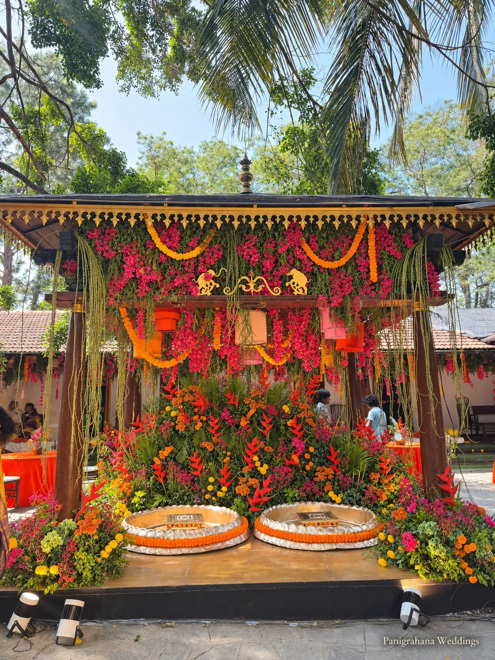 Haldi stage in a tiled-roof wooden pavilion: two large brass urlis ringed with marigold, a canopy of marigold, bougainvillea and foliage, and flower beds along the edge