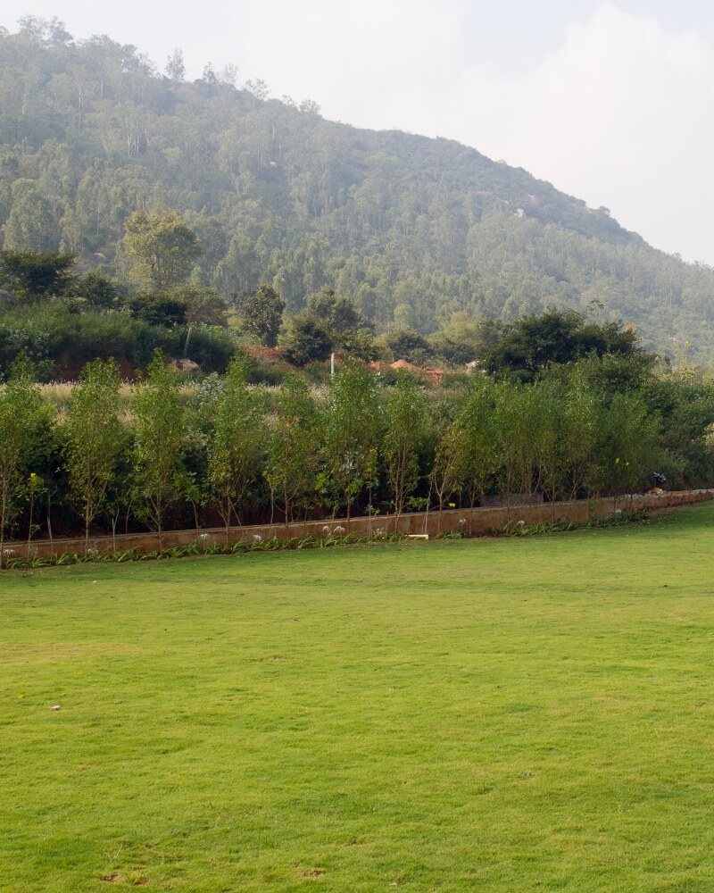 One of the Baagh / Aangan lawns at Amita Rasa in daylight — flat mown grass running to a low stone retaining edge and a line of young trees, with the forested slope of Nandi Hills rising directly behind