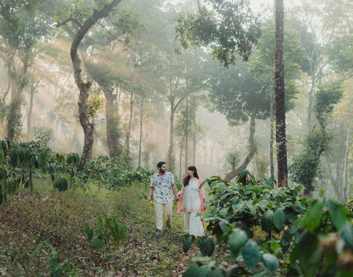 A couple walking through the coffee plantation beside Coorg Marriott in morning mist, coffee bushes in the foreground and tall shade trees behind