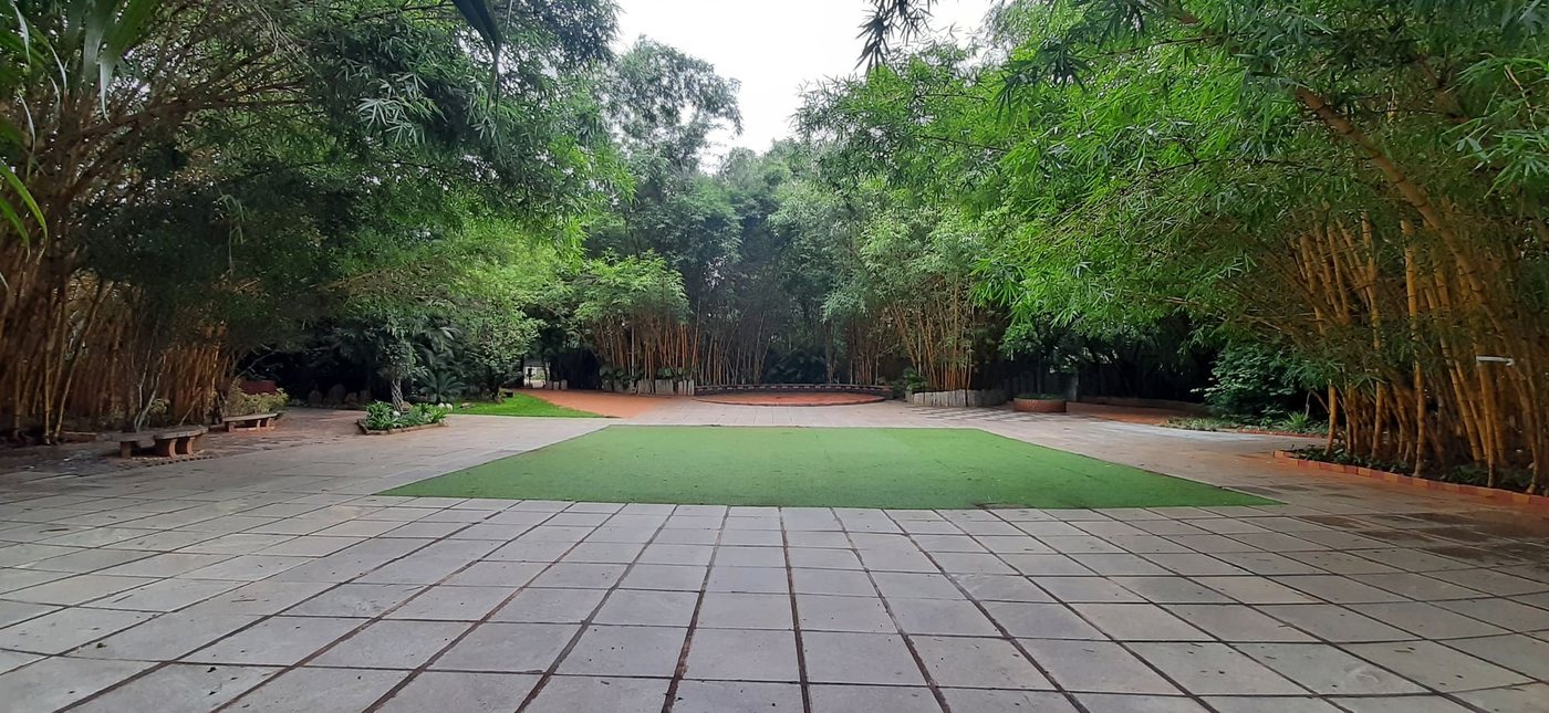 The bamboo lawn at MG Magnus — a stone-paved court with an inset rectangular turf panel, opening to a circular paved area ringed by mature bamboo clumps