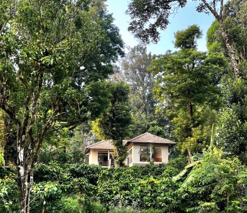 A guest cottage at Montrose Golf Resort seen through the forest canopy, tiled roof and dormer among tall trees on the estate