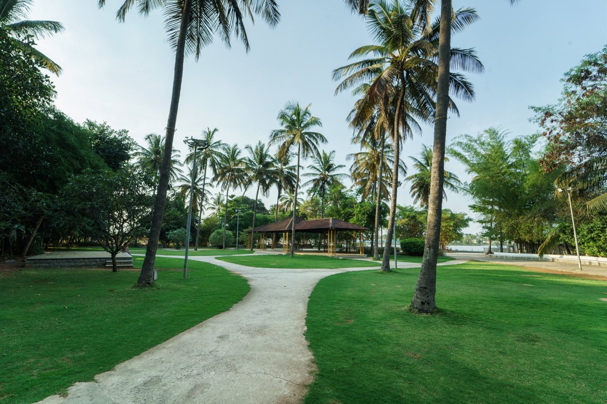 Moongate's open lawn in late morning — mown grass either side of a pale gravel path that forks toward a tiled gazebo, tall coconut palms and mango trees overhead, with the lake just visible through the trees on the right