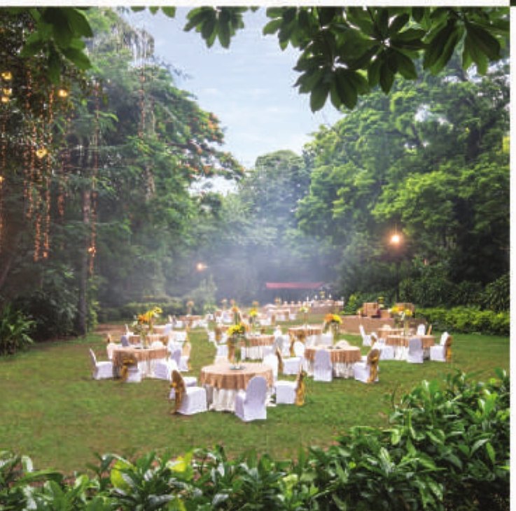 Round tables laid for an outdoor dinner on a garden lawn at Taj West End Bengaluru at dusk — gold-skirted tables with white chair covers and yellow floral centrepieces, set under tall trees strung with hanging fairy-light curtains, with mist and a lit pavilion in the distance