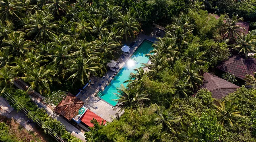 Aerial view of the palm-lined pool at Aashyana Lakhanpal, Goa