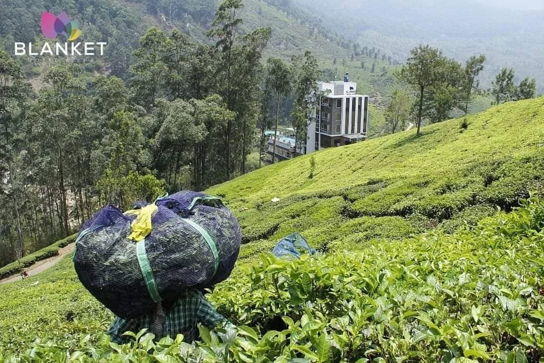 Blanket Hotel and Spa overlooking tea gardens in Munnar
