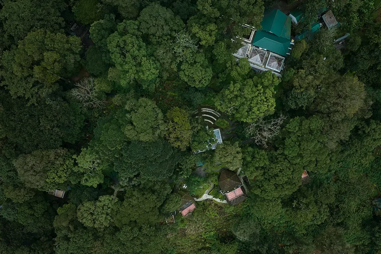 Aerial view of the forest and cottages at WGH Tall Trees, Munnar