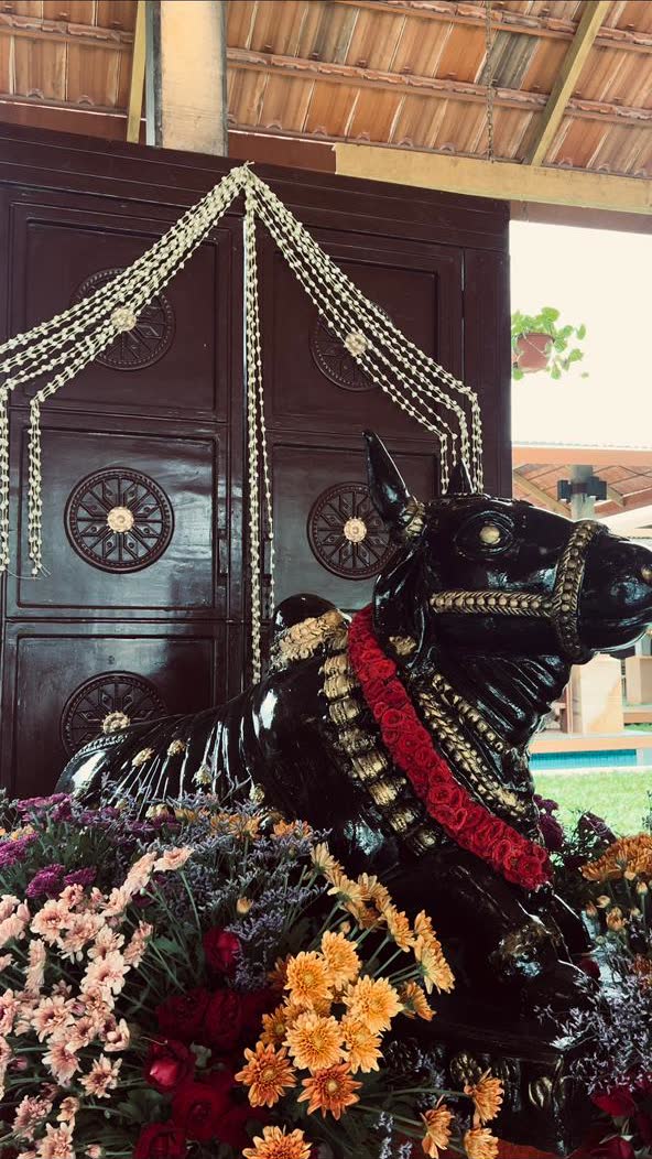 Black Nandi bull statue garlanded with red roses and brass bells in front of carved teak doors, banked with chrysanthemum and roses