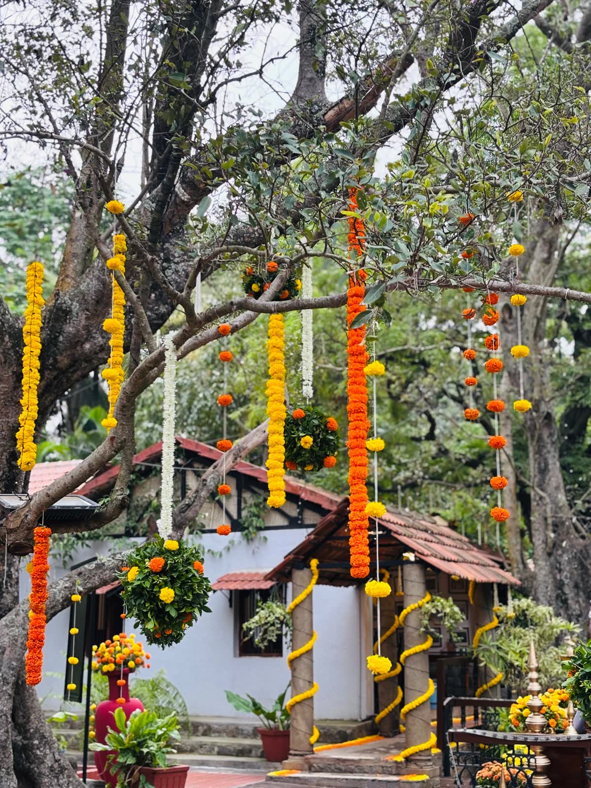 Marigold ropes in orange and yellow hanging from tree branches over the tiled roof cottages at The Tamarind Tree with spiral garlands wrapped around columns