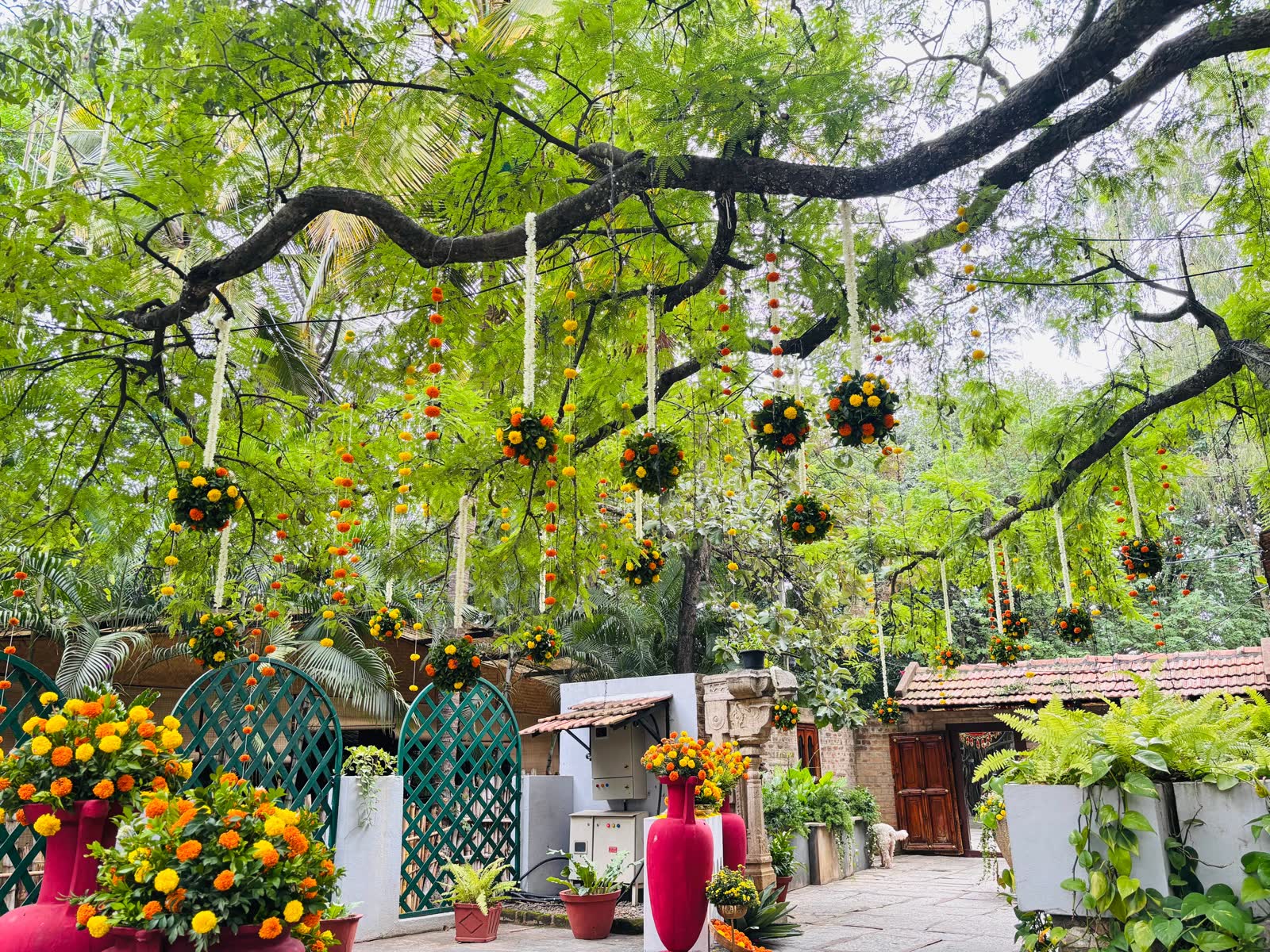 Marigold and jasmine ropes and moss-and-marigold spheres hanging at graded heights from the branches of the 400-year-old tamarind tree at The Tamarind Tree Bangalore